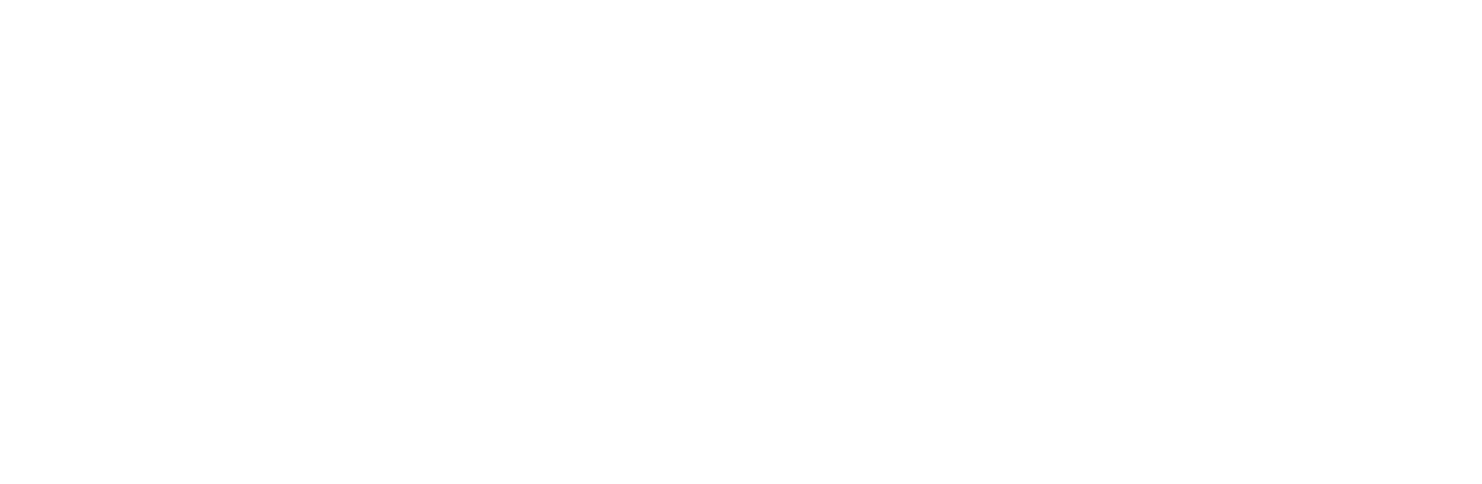 Logo RST